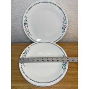 Corelle Rosemarie 10-1/4" Dinner Plate 4-Count No Chips / Cracks